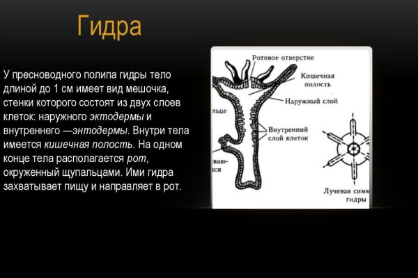 Где найти ссылку на кракен